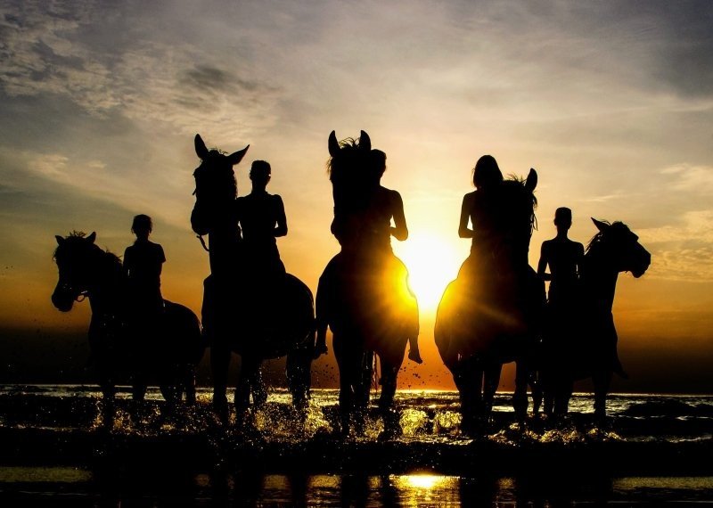 Paardrijden langs de kust